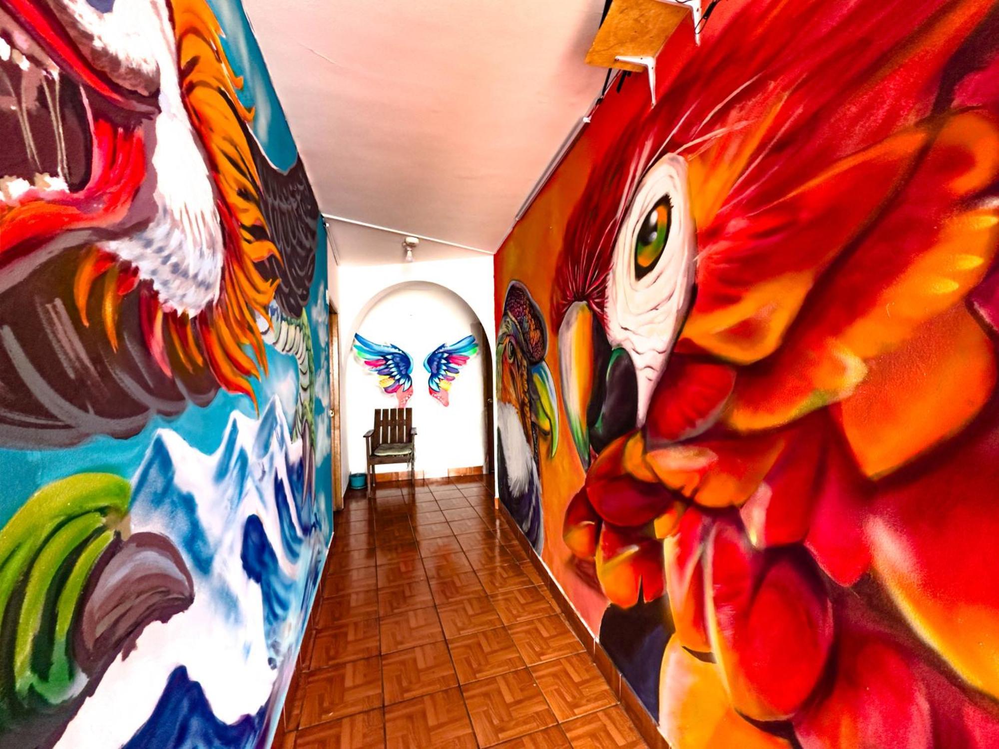 Lobo Hostel La Paz Exterior photo